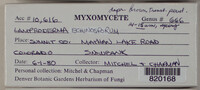 Image Associated With the Occurence